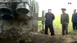 Թրամփն ու Բայդընը Հյուսիսային Կորեայի հարցում ունեն իրար լիովին հակասող տեսակետներ