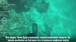 Укус акулы не остановит рыбака-любителя