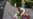 US College Student Arrested in California Synagogue Shooting