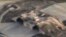 Vòm chứa máy bay tại một căn cứ không quân Syria sau khi bị Mỹ không kích ngày 7/4/2017 (hình của Bộ Quốc phòng Nga)