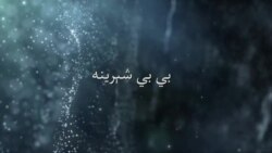 بي بي شیرینه – په ټیلې ویژن