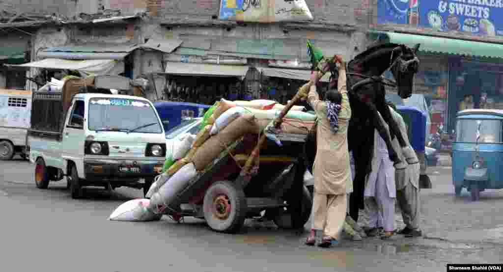 آئندہ 24 گھنٹے میں بارشوں کے اس سلسلے میں کمی آنے کی پیشن گوئی کی گئی ہے۔