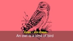 Английский за минуту - Night Owl - Сова