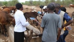 Should Lobola Be Abolished?