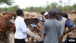 Ouagadougou bagan feere kene