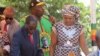 Zimbabweans Say Grace Mugabe Elbowing 'Enemies' to Succeed Mugabe