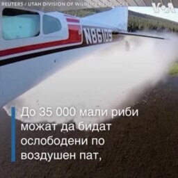 Порибување со авион