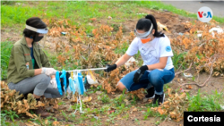 Al menos 200 jóvenes en Nicaragua se han dedicado a recoger basura en varios sitios del país [Foto: Cortesía]