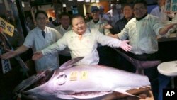 Seekor tuna sirip biru dijual seharga 20,8 juta yen (setara dengan Rp2,8 miliar) dalam pelelangan perdana tahun 2021 di pasar ikan Toyosu Tokyo, Selasa (5/1). (AP Photo/Eugene Hoshiko)