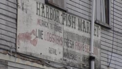 Maine Lobsterman