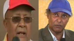 ስለባህር ዳሩ ሰልፍ ማብራሪያ፣ አስተያየትና ትንታኔ