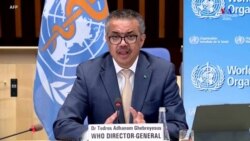 Covid-19- ի ծագման մասին բոլոր վարկածների շուրջ պետք է հետագա հետաքննություն անցկացնել