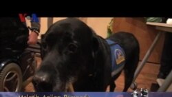 Jalan-jalan ke Bandara Baltimore-Washington (2) - Dunia Kita