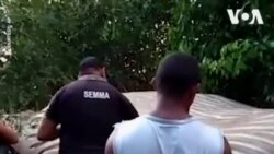 ԱՌԱՆՑ ՄԵԿՆԱԲԱՆՈՒԹՅԱՆ. 11-մետրանոց կետին գտել են Բրազիլիայի լողափին