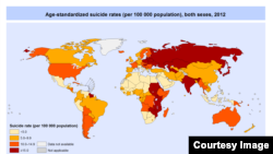 Suicide rates worldwide in 2012 according to WHO