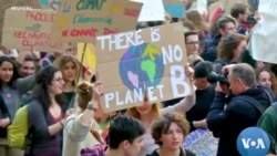 Young People Demand Urgent Action on Climate Change