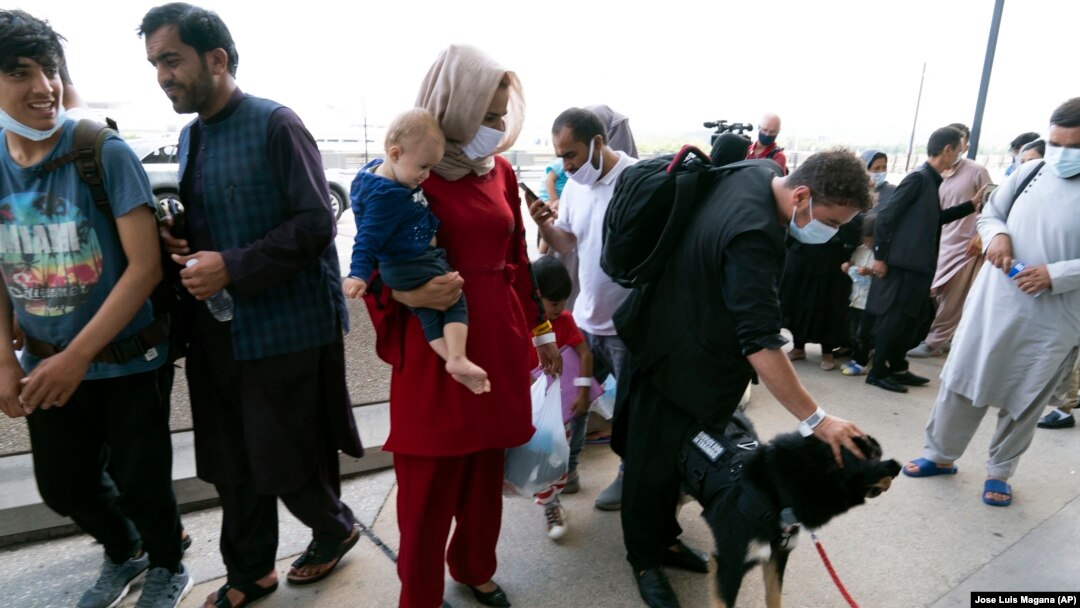 Keluarga-keluarga yang dievakuasi dari Kabul, Afghanistan, menunggu di luar terminal untuk naik bus sambil mengelus anjing penjaga bernama Cali, Senin, 23 Agustus 2021. (Foto: AP/Jose Luis Magana)