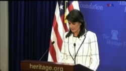 اخبار شامگاهی