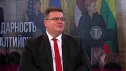 Глава МИДа Литвы: Россия показывает последовательную реакцию отрицания