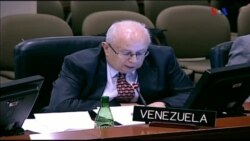 Sesión del Consejo Permanente de la Organización de Estados Americanos