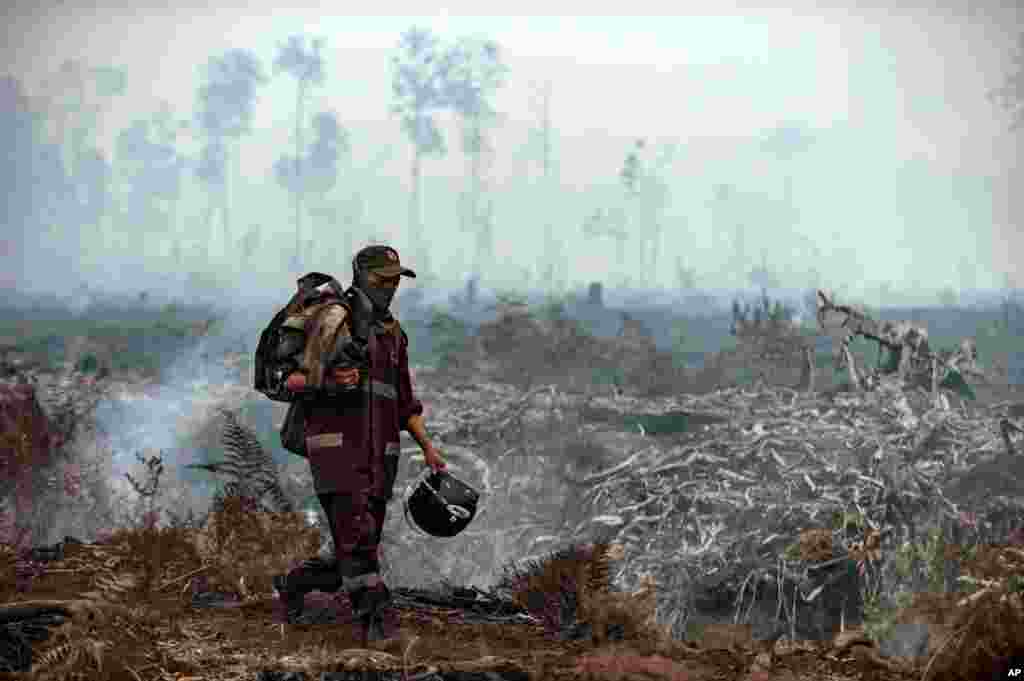 A fire fighter walks on a field as smoke billows from burnt trees at Sebangau National Park, Central Kalimantan, Indonesia. The smoke from the fires has blanketed parts of Indonesia, Singapore, Malaysia and southern Thailand in a noxious haze.