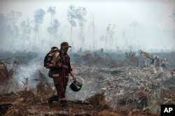 A firefighter walks in the field as smoke rises from burning trees in Sebangau National Park, Central Kalimantan in 2019. The smoke from the fire blanketed parts of Indonesia, Singapore, Malaysia and southern Thailand.  (Photo: AP)