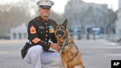 U.S. Gunnery Sergeant Christopher Willingham stands with Lucca, after the German shepherd received the PDSA Dickin Medal, awarded for animal bravery, in London, April 5, 2016.