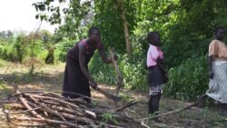 FILE - file photo, July 14, 2017, a woman chops down trees for firewood with her daughter in the small town of Rajaf, near Juba, in South Sudan.