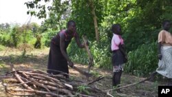  South Sudanese are warned about destroying the country’s natural resources