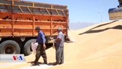 کشت و کاڵ له‌ هه‌ریمی کوردستان