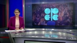 اخبار شامگاهی