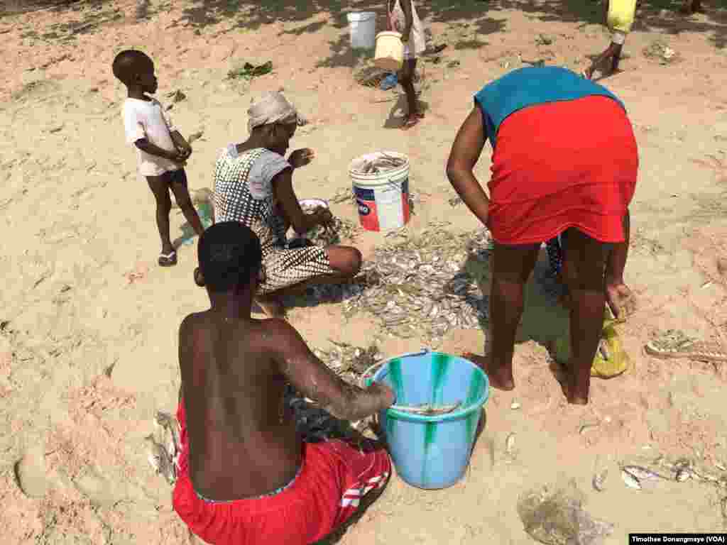 La pêche artisanale à Libreville, au Gabon, le 30 janvier 2017. (VOA/Timothee Donangmaye)