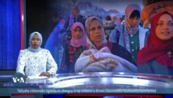 Kooxaha mayalka adage ee Israel iyo Gaza