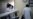 China: Virus COVID-19 Tak Segawat Virus Korona Lainnya