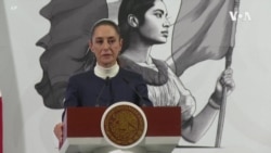 Tramp Meksika və Kanada ixracatına tətbiq etdiyi yeni tarifləri dayandırır