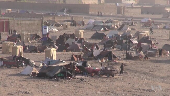 Severe Drought Threatens Food Security in War-torn Afghanistan