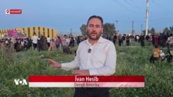 232 Dîlên HSD'ê yên li Cem Hikûmeta Sûrîyê Hatin Berdan