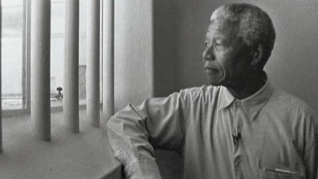 激レア！EDUBE / NELSON MANDELA Nelson Mandela by Kadir Nelson | Scholastic Education