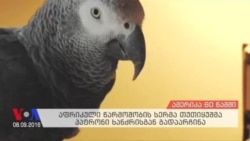 ამერიკა 60 წამში