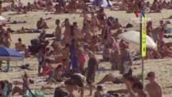 Ավստրալիայի ծովափից հեռացրել են ծովի սիրահարներին