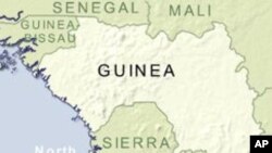 Guinea's Acting Leader Calls for Military Discipline 