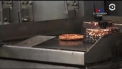 SHORT VIDEO: Բույսերից ստացված միս և այլ կենդանական բաղադրիչներ