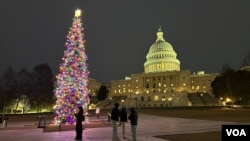 资料照片：国会圣诞树。(2025年12月8日)