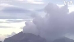 Նոր Զելանդիայում որոնում են հրաբխի ժայթքման զոհերի մարմինները