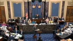 In this image from video, House impeachment manager Rep. Hakeem Jeffries, D-N.Y., speaks during the impeachment trial against President Donald Trump in the Senate at the U.S. Capitol in Washington, Jan. 24, 2020.