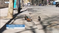 Boşalan Paris Sokaklarında Gezen 3 Kafadar Ördek