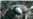 DC Eaglet Hatches