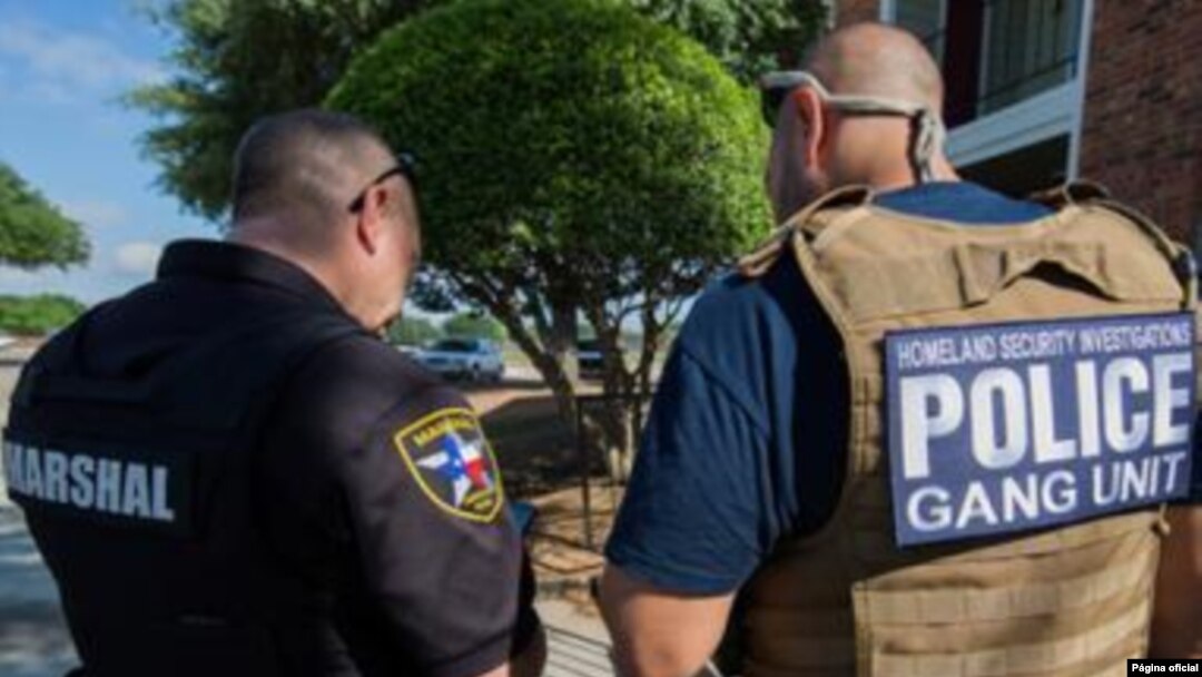 Los agentes de ICE podrán ver dónde ha estado el vehículo en los últimos cinco años, así como las residencias del titular.  