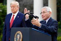 Dr. Anthony Fauci, director of the National Institute of Allergy and Infectious Diseases, speaks during a coronavirus task force briefing in the Rose Garden of the White House, Sunday, March 29, 2020, in Washington, as President Donald Trump listens.