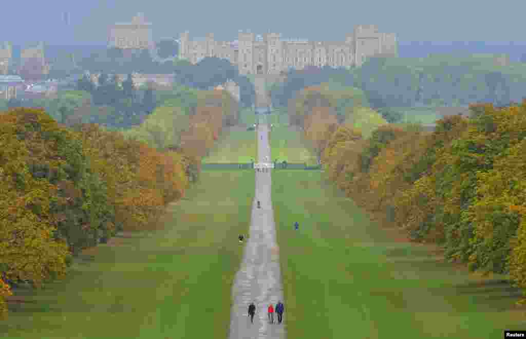 Para wisatawan menikmati warna daun musim gugur di sepanjang jalan di Taman Windsor, di komplek Istana Windsor, kediaman Ratu Elizabeth di Inggris selatan.